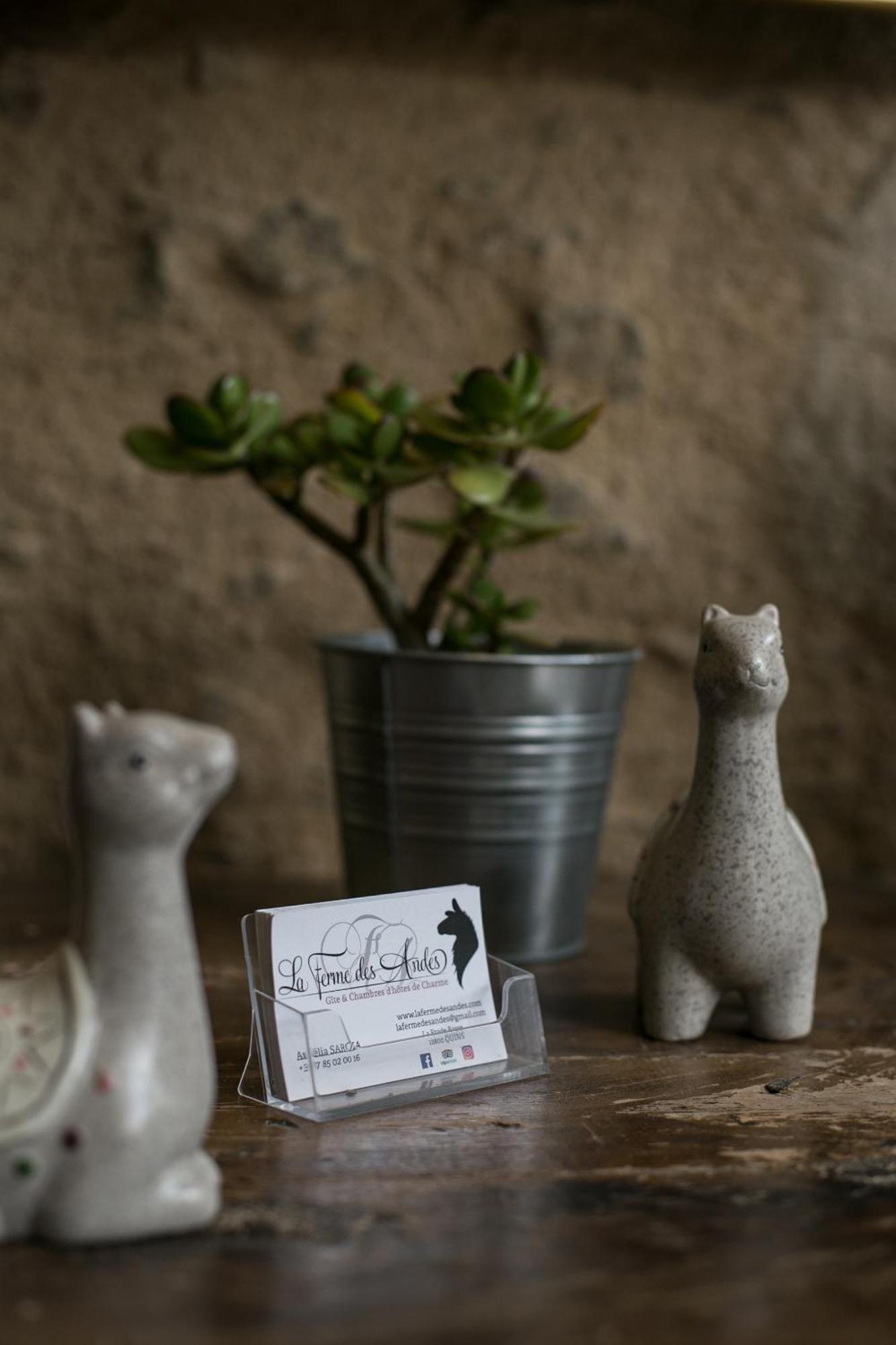 La Ferme Des Andes - Gite L'Atelier Quins Exterior photo