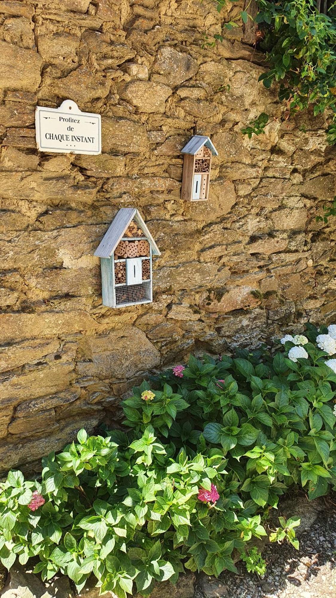 La Ferme Des Andes - Gite L'Atelier Quins Exterior photo