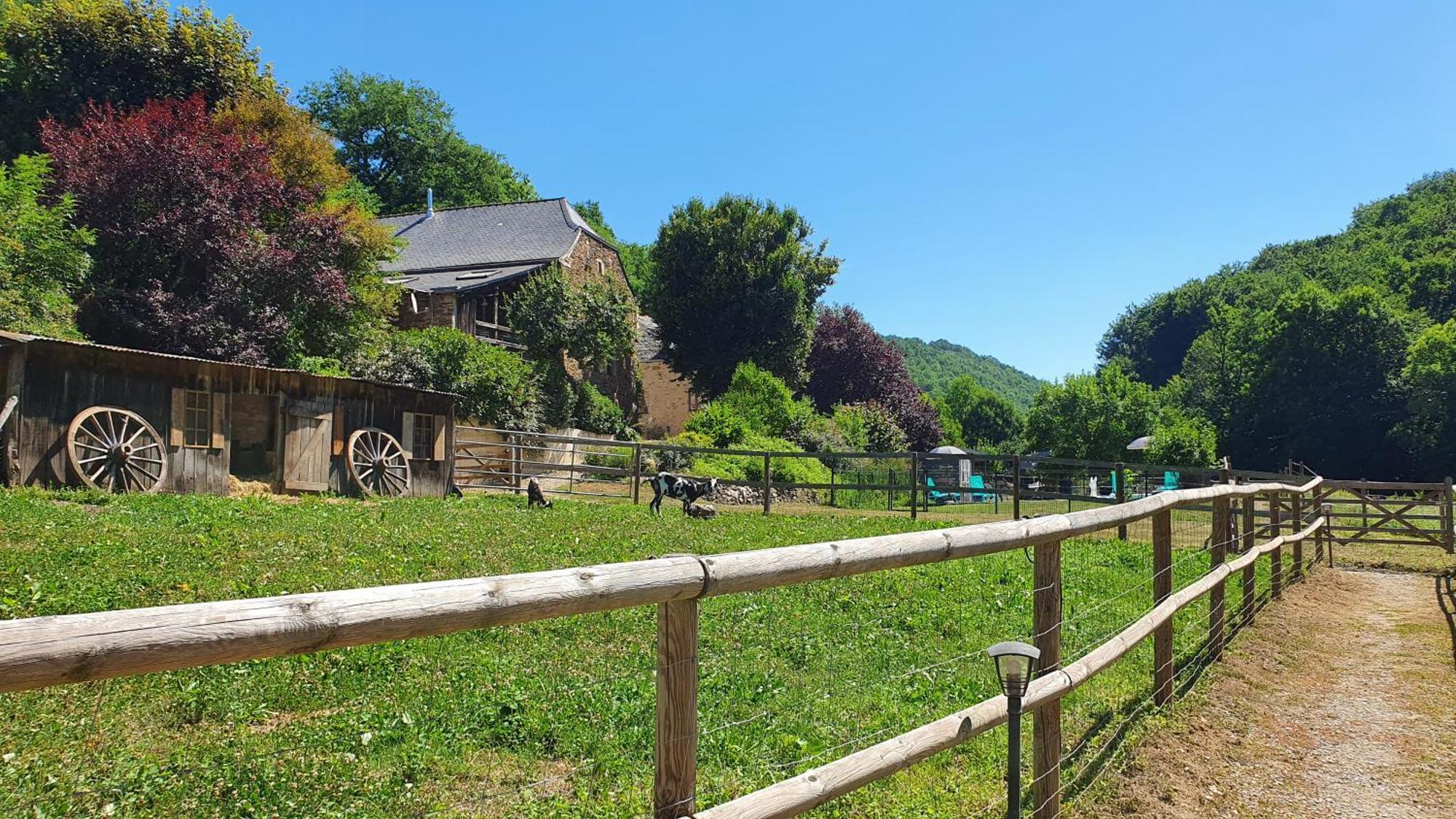 La Ferme Des Andes - Gite L'Atelier Quins Exterior photo