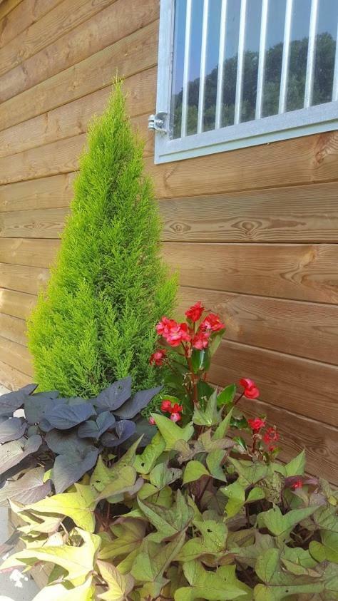 La Ferme Des Andes - Gite L'Atelier Quins Exterior photo