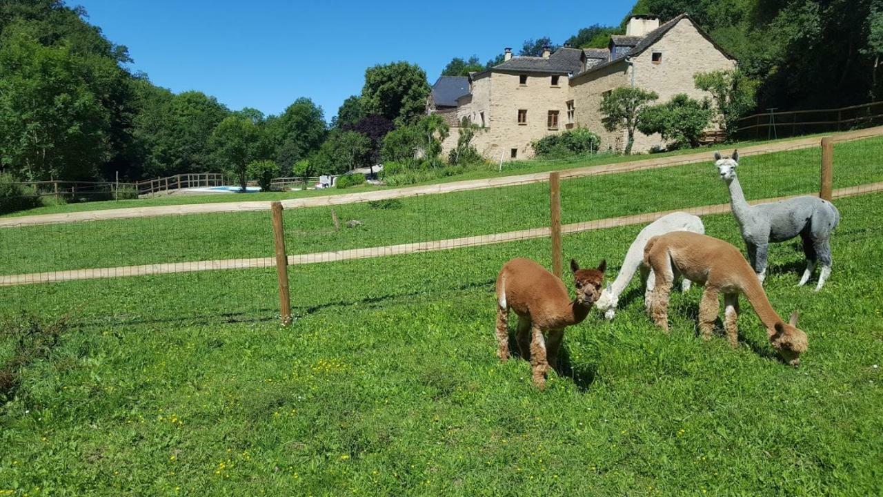 La Ferme Des Andes - Gite L'Atelier Quins Exterior photo